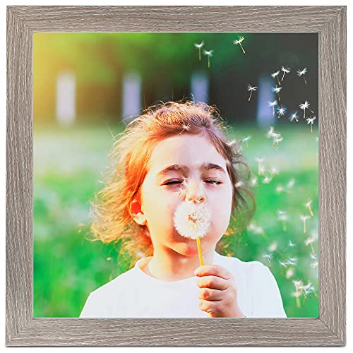 Arttoframes 14X18 Inch White Picture Frame, This 1.25" Custom Poster Frame Is Gray Oak - Barnwood Style, For Your Art Or Photos - Comes With Regular Glass, Wom76808-973-14X18 #TOP7