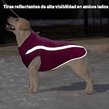 Ver la foto 5