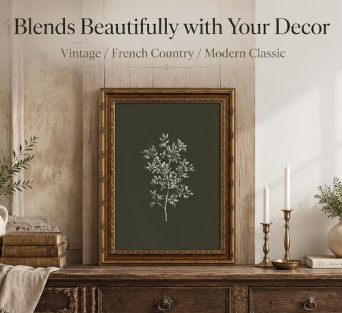Vintage Gold Framed Green Botanical Wall Art Rustic Botanical Canvas Wall Decor Retro Minimalism Botanical Picture Painting Green Plants Illustration Print Artwrok for Living Room Bedroom Home Decor by Livsoham - Used condition - Image 6