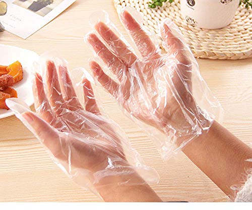 Soltreebundle Made In Korea 100Pcs Disposable Transparent Clear Plastic Gloves, Polyethylene Work Gloves For Cooking,Cleaning,Food Handling Oil Blotting Paper #TOP6