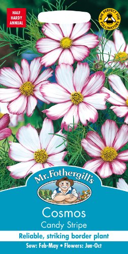 Mr Fothergill’s Cosmos Flower Seeds, Candy Stripe