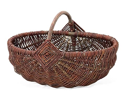 Weidenprofi Weidenkorb, Erntekorb aus Weide, oval mit Henkel, Größe (LxBxH): 38 x 22 x 16 cm