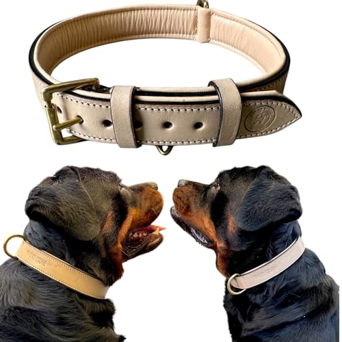Image of High Graded Premium Leather Dog Collar- Dog Collar for Large Dogs, Dog Collar for Med, Dog Collar Belt (Grey, Size Neck - X Large (22.5-26.5 Inch))