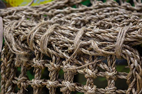 Penn-Plax Reptology Lizard Lounger Corner Triangle with Ladder– 100% Natural Seagrass Fiber – Great for Bearded Dragons, Anoles, Geckos, and Other Reptiles – Large by Penn-Plax - Image 5