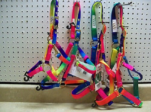 Valhoma Colorful Rainbow Mini or Pony 100-200 lbs Nylon Halter Brass Hardware Throat Latch Snap