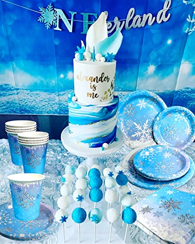 Jevenis Frozen Birthday Party Plates Frozen Party Supplies Frozen Birthday Decoration Frozen Party Favors Else Birthday Decoration Else Party Supplies #TOP2