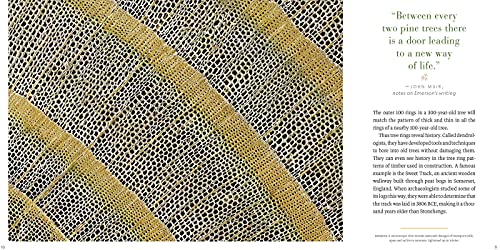 Into the Forest: The Secret Language of Trees