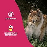 Petsly® Flohmittel Katzen, Hunde & Textilien -1L- Nicht färbend - Flohspray für Wohnung und Möbel - Langzeitschutz - mit natürlichen ätherischen Ölen wie Citronella- & Geraniol-Öl