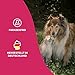 Petsly® Flohmittel Katzen, Hunde & Textilien -1L- Nicht färbend - Flohspray für Wohnung und Möbel - Langzeitschutz - mit natürlichen ätherischen Ölen wie Citronella- & Geraniol-Öl