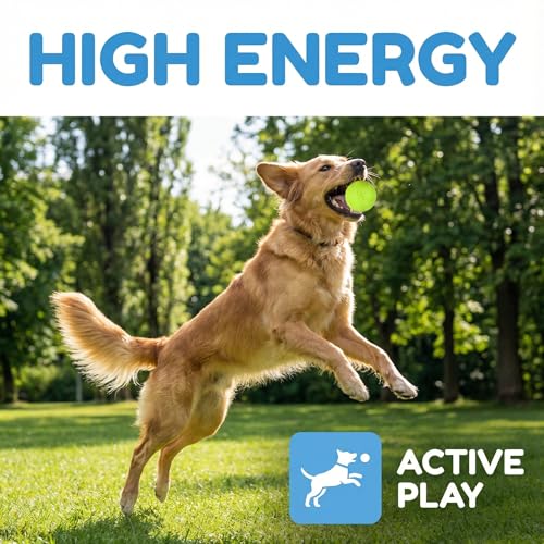 Amexo 4Stück Hundespielzeug Bälle, Hundeball Quietschend Unzerstörbar, Interaktive Hundebälle mit Quietscher, Hund Kauspielzeug Bälle hundeball Schwimmfähig für Welpen Kleine und Mittelgroße Haustiere