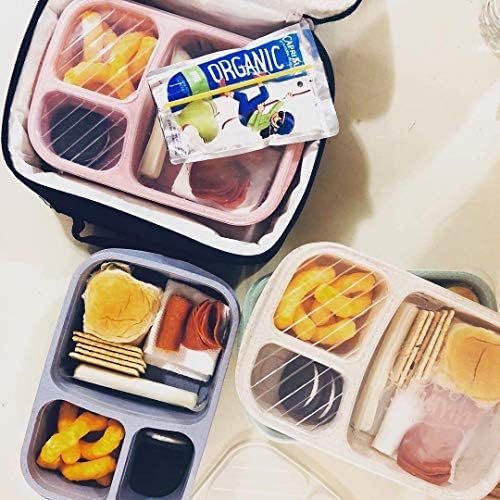 4 Pack Bento Box Lunch Containers for Kids and Adults Wheat Straw Biodegradable Eco-Friendly BPA-Free Organic Gluten-Free - 3 Compartments Spill Proof