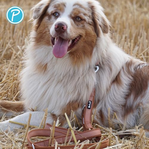 Petlando Hundeleine 3m Mesh, weich gepolstert, atmungsaktiv, leicht & robust, Führleine 3 Fach verstellbar mit Karabiner, Freihandleine, Umhängeleine, Leine für mittelgroße Hunde, Cognac 300x2,5cm