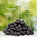 Traina Home Grown California Dried Whole Black Mission Figs - Healthy, No Added Sugar, Non GMO, Gluten Free, Kosher Certified, Vegan, Value Size (5 lbs)