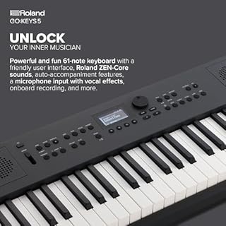 Roland GO:KEYS 5 Music Creation Keyboard | 61-Note Keyboard | Built-In Stereo Speakers | Mic Input | Bluetooth Audio/MIDI Support for Music Streaming - Graphite