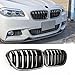 SNA Real Carbon Fiber F10 Grille, Front Kidney Grill for 2010-2016 BMW 5 Series F10 F11 And F10 M5 (Double Slats Gloss Black Grill, 2-pc Set)
