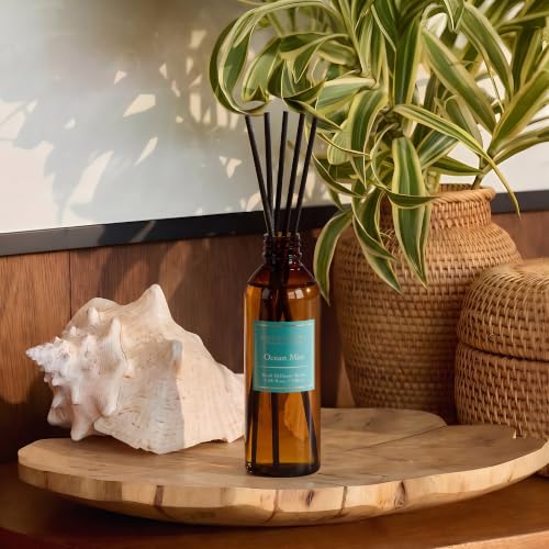 Image of COCORRINA Reed Diffuser Refill, Ocean Mist, 3.38 fl oz, 6 Reeds