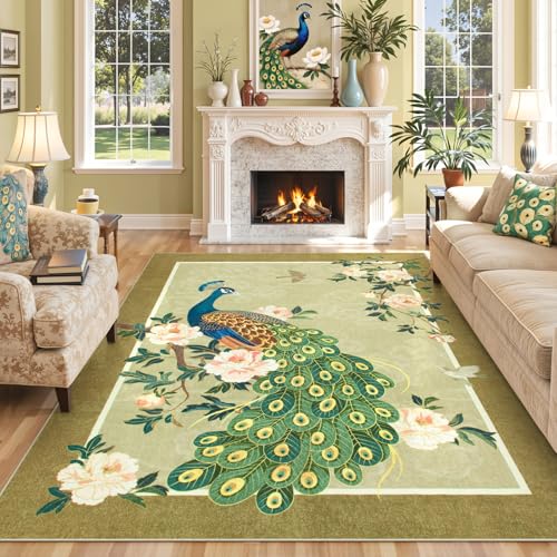 Lahome Peacock Washable Rugs 5x7, Soft 5x7 Rugs for Living