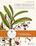 Orchideen: Eine illustrierte Pflanzenkunde mit Werken aus dem Natural History Museum in London - Sandra Knapp 
