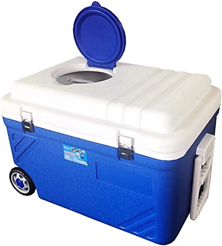 40/65 Litre Cool Box Large Plastic Cooler Box Bags with Carry Handles
