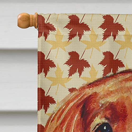 Drapeau Setter Irlandais grand format en toile durable extérieur - 4