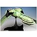 Diamond Select Toys Star Trek: Electronic Klingon Bird of Prey Ship