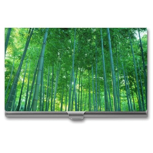 [�P�v�E�X��] ���h���� �����Y Picture of A Bamboo Forest Exotic Fresh Jungle Vision with Tall Shoots ���o���ȒP 1�b�J�r�W�l�X �A�E�j�� ���i�j�� �V�Љ�l �a���� ���̓� ��