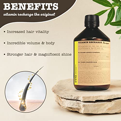 Vitamin Recharge Original Shampoo For Dry Hair, Sulfate-Free Clean Hair Care With Vitamin Complex Silicone-Free, Paraben-Free, Cruelty-Free, Vegan Shampoo, 16.9Oz #TOP2