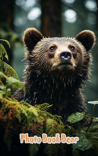 In the Company of Bears: A Photographic Journey: A Journey Alongside Bears, A Visual Saga of Wildlife Beauty and Wonder