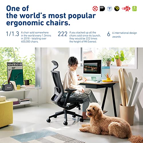 Sidiz T50 Office Chair Review (2022 Updated)