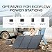 EF ECOFLOW Power Bank + 160W Solar Panel