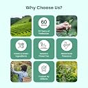 APSARA Detoxifying Kahwa Green Tea Bags - 72 Pcs, Spiced Kashmiri Detoxifying Kahwa Green Tea, Natural Body Cleanse & Immunity Booster With Rock Salt, Tulsi, Cardamom, Cinnamon Tea, 180 Grams gallery image