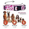 Native-Pup-Flower-Dog-Collar-Adjustable-Small-Medium-Large-Cute-Girl-Female-Summer-Spring-Pretty-Designer-Puppy-Essentials-Accessories-Pink-Floral-Blue-Daisy-Rose-Medium-Pink-Daisy Native Pup Flower Dog Collar: The Perfect Accessory for Your Pooch