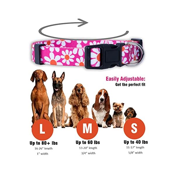 Native-Pup-Flower-Dog-Collar-Adjustable-Small-Medium-Large-Cute-Girl-Female-Summer-Spring-Pretty-Designer-Puppy-Essentials-Accessories-Pink-Floral-Blue-Daisy-Rose-Medium-Pink-Daisy Native Pup Flower Dog Collar: The Perfect Accessory for Your Pooch