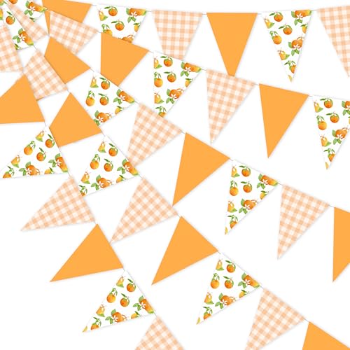 Orange Themed Party Bunting Banner Pre-Strung Citrus Triangle Pennant Flags for Baby Shower, Birthday, Summer Fruit Party Decorations