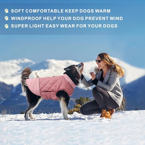 Idepet Winddichter Hundemantel Winter Warme Jacke,Anti-Schneeanzug Hundebekleidung für kleine mittelgroße Hunde mit Geschirrloch Blau Rosa Grau