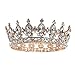 Frcolor Vintage Tiara Crown, Crystal Rhinestone Pageant Queen Crown Tiara Hair Jewelry