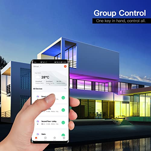 Luxense Smart Light Bulbs 2 Pack, Wifi & Bluetooth A19 Led Bulbs, Rgbcct Color Changing Light Bulb With Music Sync, 54 Dynamic Scenes, Works With Alexa & Google Assistant #TOP2