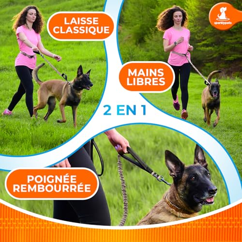 SparklyPets - Hands Free Dog Leash with Reflective Stitches - Waist Leash for Medium & Large Dogs Walking, Hiking, Training, Jogging, Canicross, Running by SparklyPets - Image 6