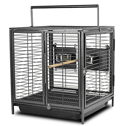 Tweet in Style: Top 10 Bird Cage Carriers You Need for Your Next Outing ...
