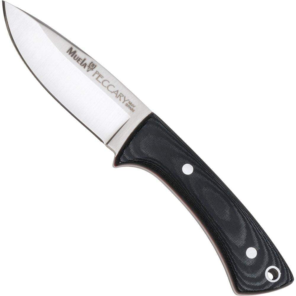 Muela Cuchillo PECCARY-8M hoja de acero ACX-380 de 8 cm y empuñadura de micarta negra para Caza, Pesca, Supervivencia y Bushcraft Realizado en Ciudad Real + Portabotellas de regalo