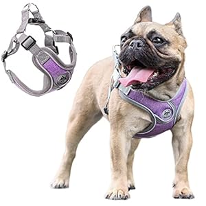 Dog Harness No Pull for Medium Size, Easy Walk Adjustable Pet Harness, No-Choke Soft Padded Dog Vest, Reflective Breathable Pet Oxford Cloth with 2 Metal Leash Clips