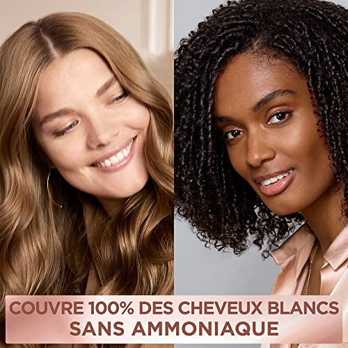 L’ORÉAL PARIS - Coloration Cheveux Cheveux Permanente - Sans Ammoniaque - Couvre 100% des Cheveux Blancs - Excellence Crème Universal Nudes - Nuance : Brun Universel (2) (Lot de 2)
