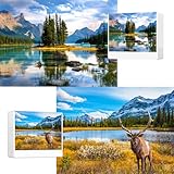 Jigsaw Puzzles 2 Pack 1000 Pieces - Puzzles for Adults - Rocky Mountain & Spirit Island National Park Impossible Challenging Puzzles