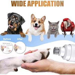 Petnailgrinderbitsawtoothheadwithfastcoolinganticloggingdiamonddognailgrindertipreplacementforclawcaregrooming1p80  Cucciolini Doodles   cucciolini doodles