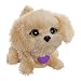 FurReal Friends Luvimals Sweet Singin' Biscuit Pet