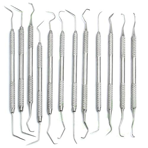 AAProTools 12 Piece Dental Probe Pick Tool Instrument Set Stainless Steel Scaler PR-296