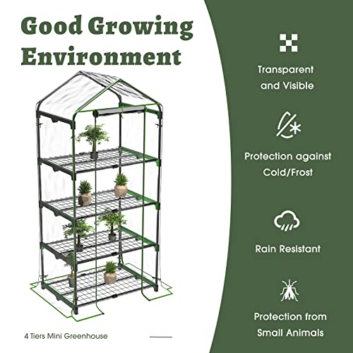 BLUU Small Plant Greenhouses Kit Outdoor Indoor with 4 Tiers Shelves