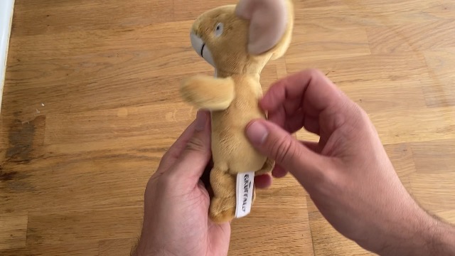 Video thumbnail