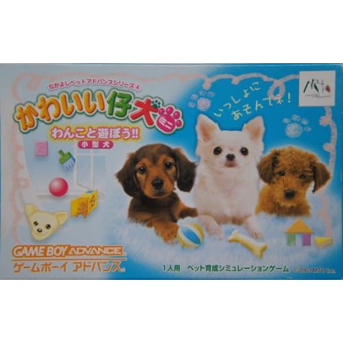 かわいい仔犬 ミニわんこと遊ぼう！！