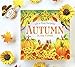 Autumn In The Forest Deluxe Lift-a-Flap & Pop-Up Seasons Board Book for Fall (Lift-a-flap Surprise)
